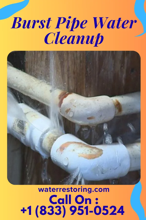 Burst Pipe Water Cleanup in Apple River, IL